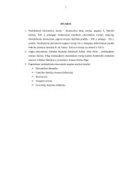 Neoklasikinė ekonominio augimo teorija: laikotarpis, pradininkai ir pagrindiniai bruožai 7 puslapis