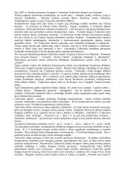 Piotras Čaikovskis 2 puslapis