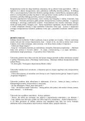 Piotras Čaikovskis 4 puslapis