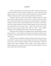 Pirmieji lietuvių paminėjimai rašytiniuose šaltiniuose 2 puslapis