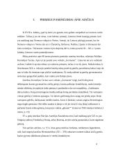 Pirmieji lietuvių paminėjimai rašytiniuose šaltiniuose 3 puslapis