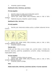Pirmoji pagalba esant kaulų lūžiams, išnirimams, panirimams 10 puslapis