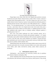 Plokščiapėdystė 3 puslapis