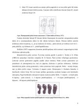 Plokščiapėdystė 7 puslapis