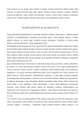 Plokščiapėdystė ir jos profilaktika 5 puslapis