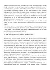 Plokščiapėdystė ir jos profilaktika 6 puslapis