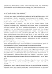 Plokščiapėdystė ir jos profilaktika 8 puslapis