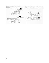 Fiziniai pratimai namuose 13 puslapis