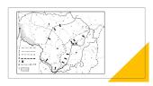 1918–1920 m. Lietuvos nepriklausomybės kovos su Sovietų Rusija, bermontininkais ir Lenkija 13 puslapis