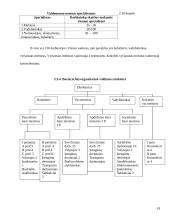 Paruošimo ir apdirbimo pramoninė veikla 19 puslapis