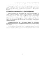 Pramonės plėtros programos projektas 11 puslapis