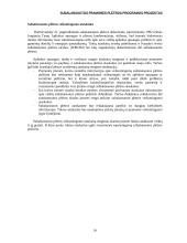 Pramonės plėtros programos projektas 20 puslapis