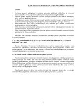 Pramonės plėtros programos projektas 5 puslapis