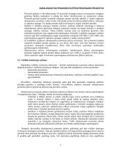 Pramonės plėtros programos projektas 6 puslapis