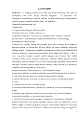Pramoninė tekstilė 12 puslapis