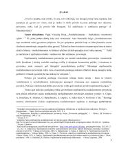 Policijos pareigūnų veikla vykdant nepilnamečių nusikalstamumo prevencinį darbą  3 puslapis