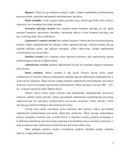 Policijos pareigūnų veikla vykdant nepilnamečių nusikalstamumo prevencinį darbą  5 puslapis