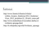 Sveikatos apsauga 12 puslapis