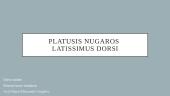 Platusis nugaros raumuo