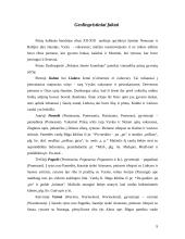 Prūsai: istoriniai duomenys, etnonimai, geolingvistika 9 puslapis