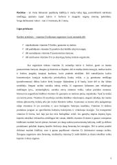 Rachito priežastys, eiga, simptomai bei komplikacijos 3 puslapis