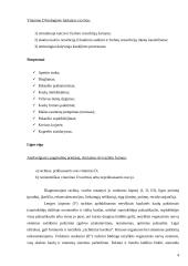 Rachito priežastys, eiga, simptomai bei komplikacijos 4 puslapis