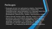 Produkto charakteristika 12 puslapis