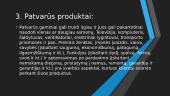 Produkto charakteristika 10 puslapis