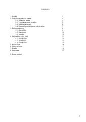 Rašto atsiradimas 2 puslapis