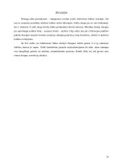 Rašto atsiradimas 16 puslapis