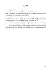 Rašto atsiradimas 3 puslapis