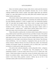 Rašto atsiradimas 8 puslapis