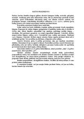 Raštas ir rašto atsiradimas 2 puslapis