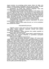 Raštas ir rašto atsiradimas 11 puslapis