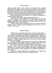 Raštas ir rašto atsiradimas 3 puslapis