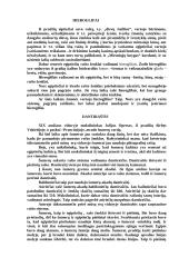 Raštas ir rašto atsiradimas 5 puslapis