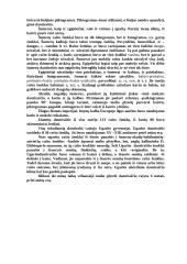 Raštas ir rašto atsiradimas 6 puslapis