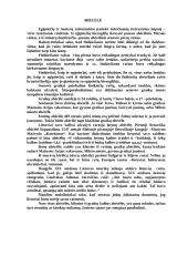 Raštas ir rašto atsiradimas 7 puslapis