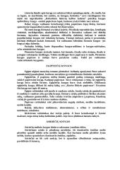 Raštas ir rašto atsiradimas 8 puslapis