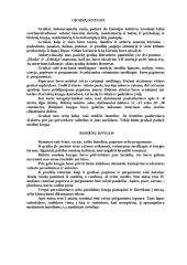 Raštas ir rašto atsiradimas 9 puslapis