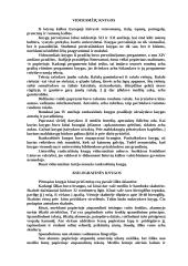 Raštas ir rašto atsiradimas 10 puslapis