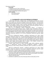 Veiksmai kilus gaisrui mokykloje 3 puslapis