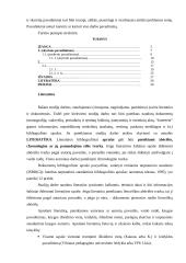 Rašto darbų žanrai 11 puslapis
