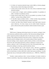 Rašto darbų žanrai 12 puslapis