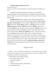 Rašto darbų žanrai 13 puslapis
