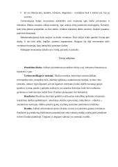 Rašto darbų žanrai 14 puslapis