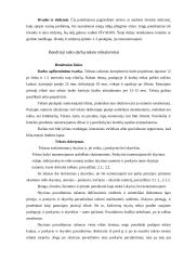 Rašto darbų žanrai 5 puslapis
