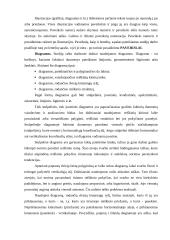 Rašto darbų žanrai 8 puslapis