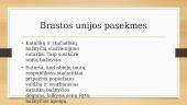 Penkios unijos LDK istorijoje 15 puslapis