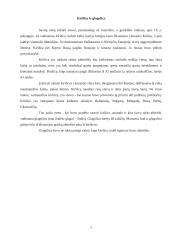 Rašto kilmė bei raida 7 puslapis